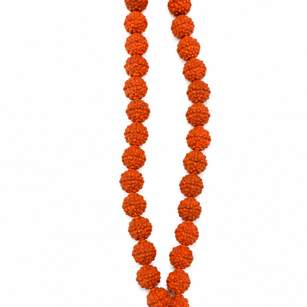 Siddh Pran Pratishthit Rudraksha Mala